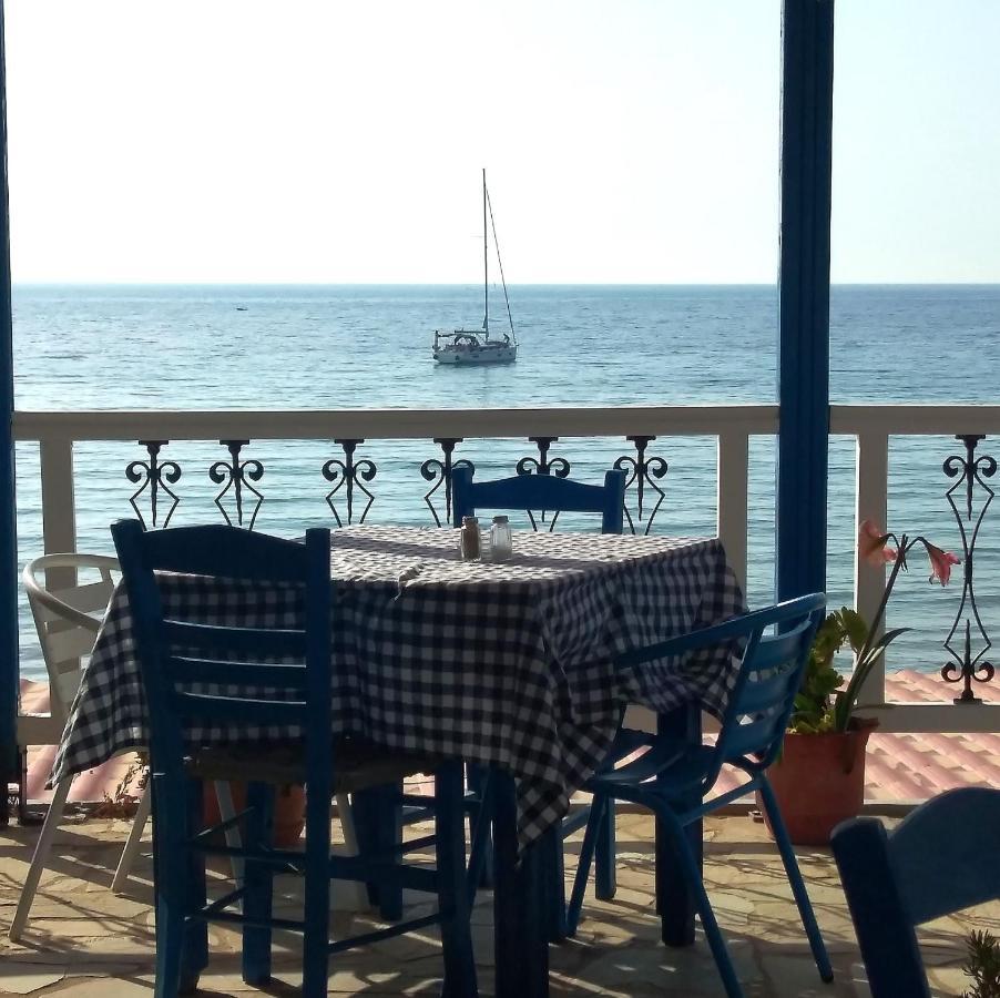 Svetlana & Michalis Oasis Hotel Αγία Μαρίνα Εξωτερικό φωτογραφία